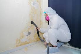 Why You Should Choose Our Mold Remediation Services in Port Sulphur, LA